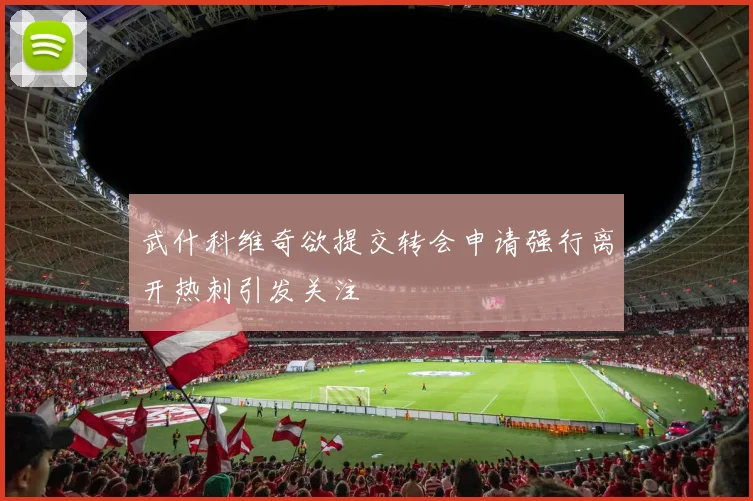 武什科维奇欲提交转会申请强行离开热刺引发关注